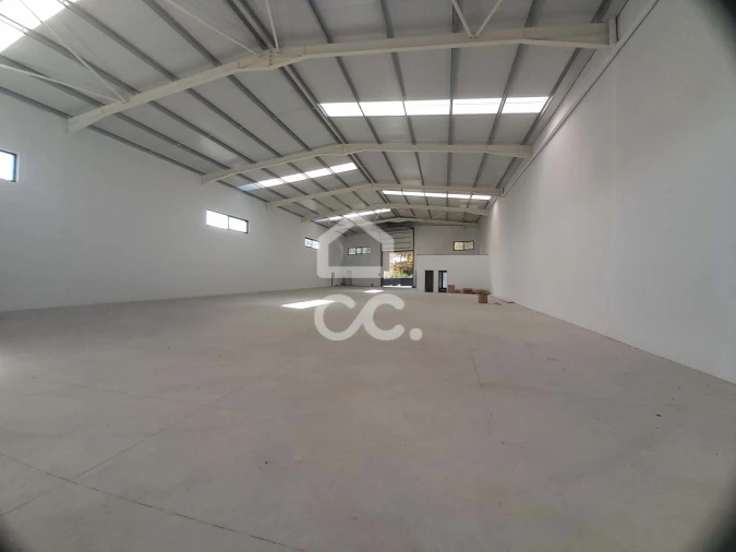 Armazém para Venda em Macieira Foto 22