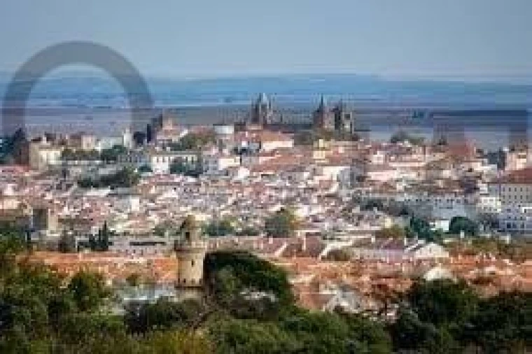 Prédio para Venda em Bacelo e Senhora da Saúde Foto 20