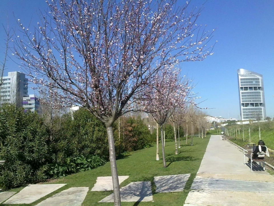 Apartamento T4 para Venda em Algés, Linda-A-Velha e Cruz Quebrada-Dafundo Foto 25