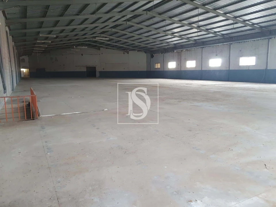 Armazém para Venda em Juncal Foto 10