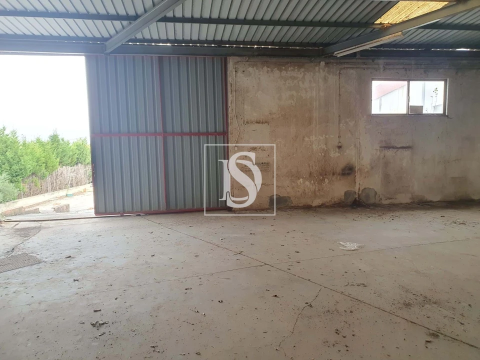 Armazém para Venda em Juncal Foto 5