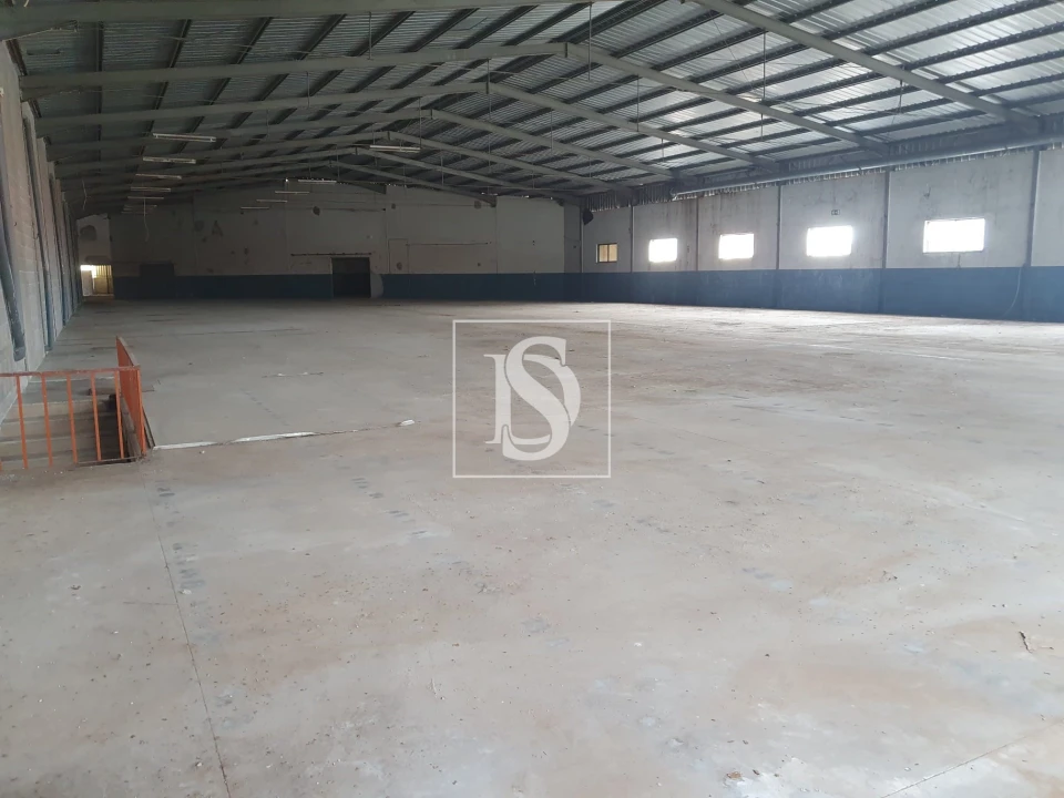 Armazém para Arrendamento em Juncal Foto 10