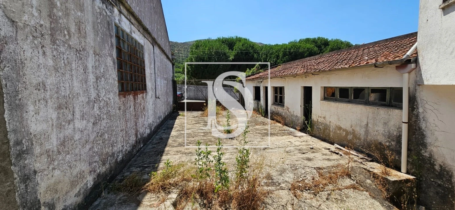 Armazém para Venda em Minde Foto 6