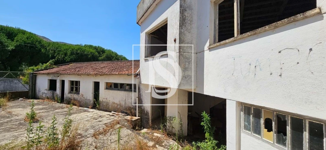 Armazém para Venda em Minde Foto 4