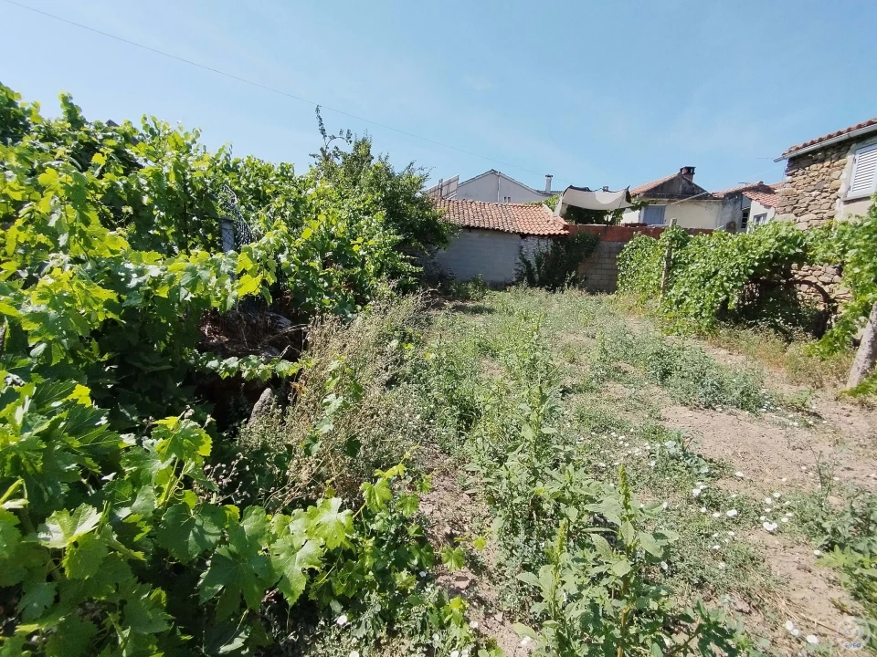 Moradia para Venda em Vilas Boas e Vilarinho das Azenhas Foto 4