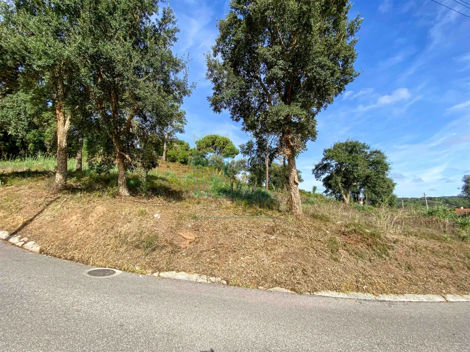 Terreno para Venda em Salir de Matos Foto 5