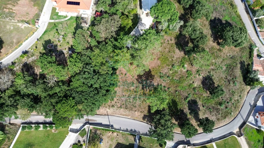 Terreno para Venda em Salir de Matos Foto 21