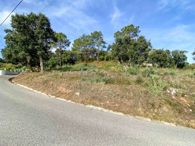 Terreno para Venda em Salir de Matos Foto 6