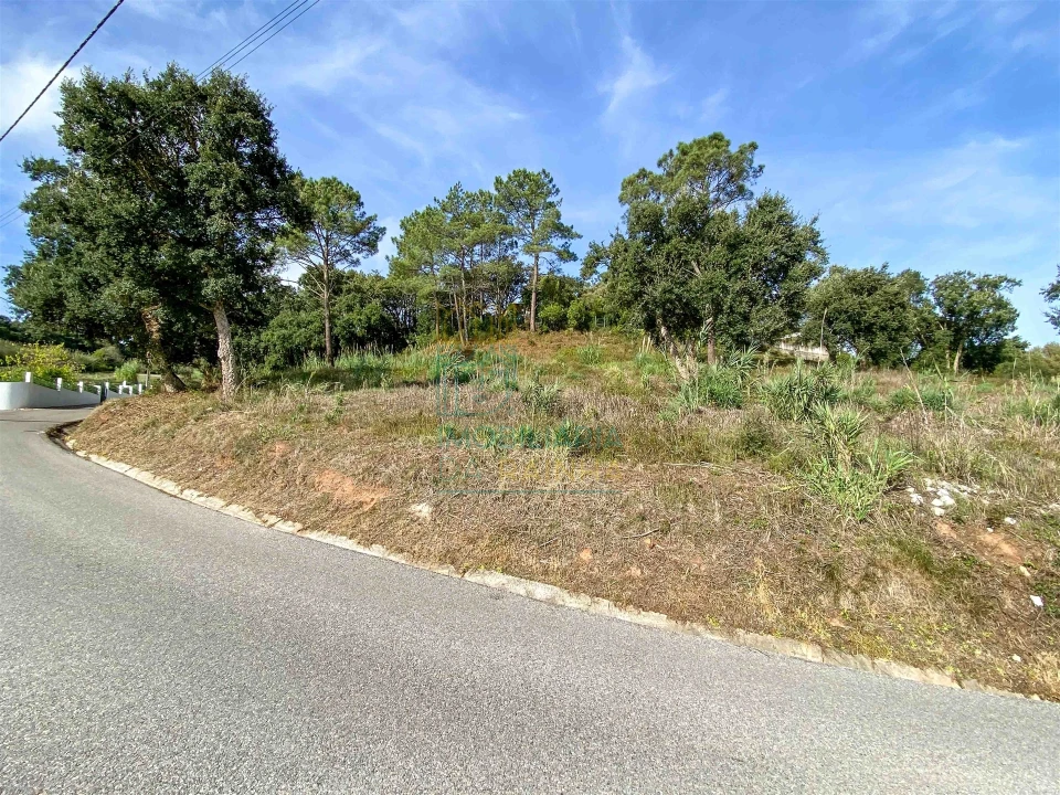 Terreno para Venda em Salir de Matos Foto 6