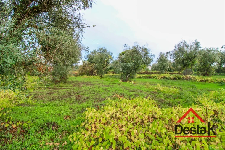 Terreno para Venda em Silgueiros Foto 4