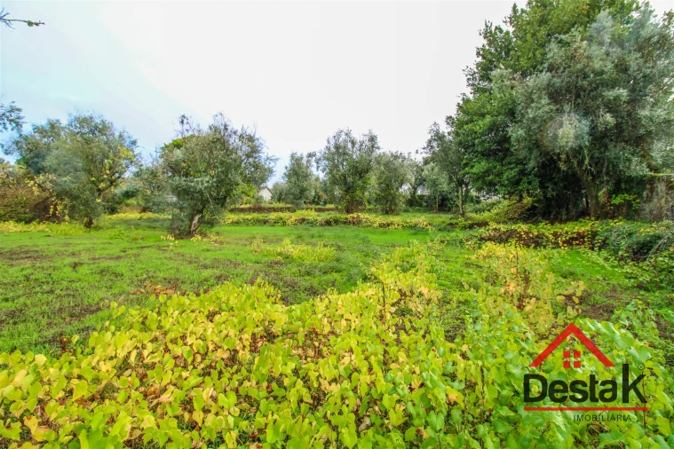 Terreno para Venda em Silgueiros Foto 3