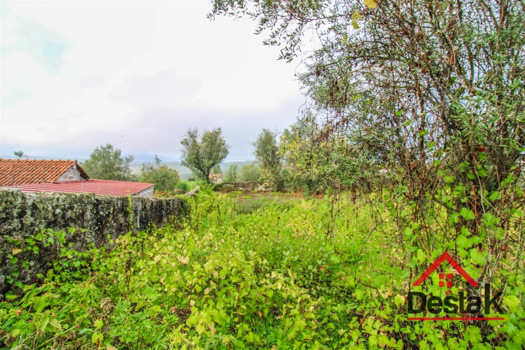 Terreno para Venda em Silgueiros Foto 8