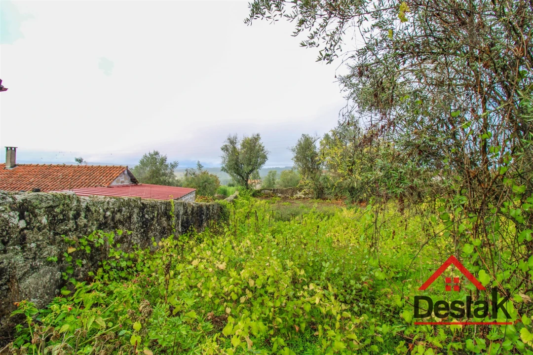 Terreno para Venda em Silgueiros Foto 6