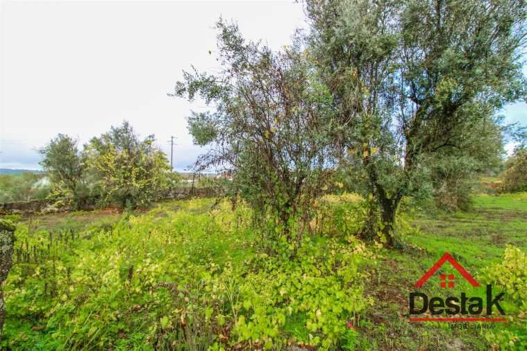 Terreno para Venda em Silgueiros Foto 2