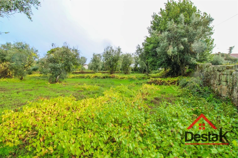 Terreno para Venda em Silgueiros Foto 8
