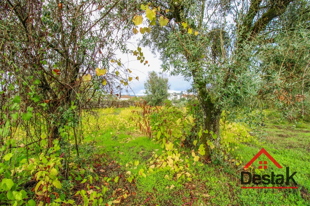 Terreno para Venda em Silgueiros Foto 4