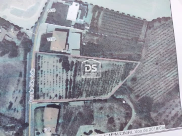 Terreno Agricola ou Rústico para Venda em Porto de Mós - São João Baptista e São Pedro