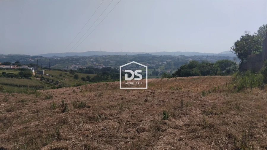 Terreno Agricola ou Rústico para Venda em Porto de Mós - São João Baptista e São Pedro Foto 15
