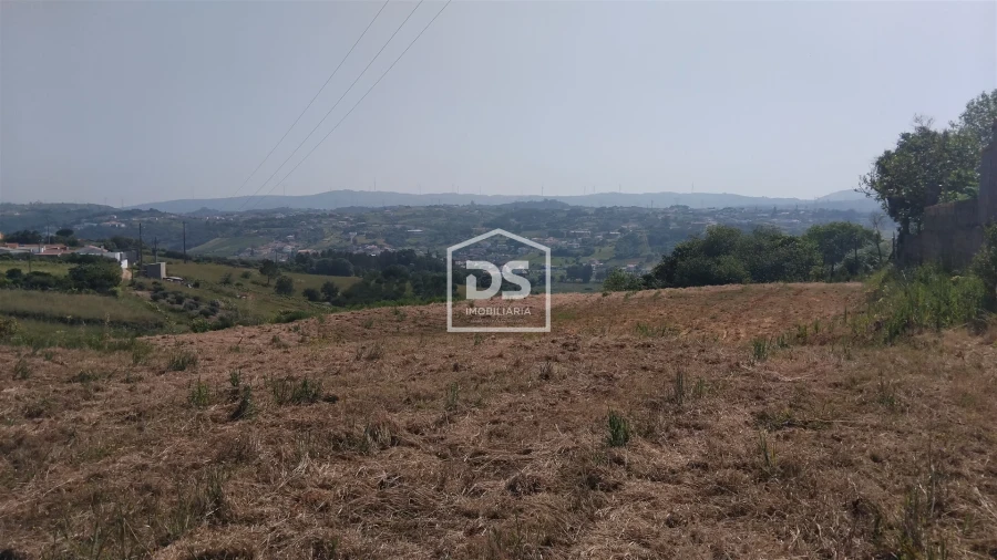 Terreno Agricola ou Rústico para Venda em Porto de Mós - São João Baptista e São Pedro Foto 5