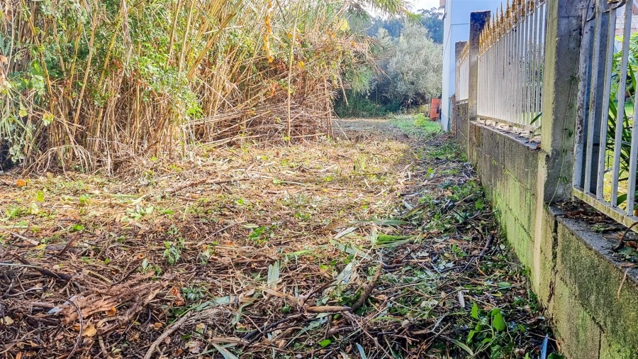 Terreno para Venda em Leiria, Pousos, Barreira e Cortes Foto 2