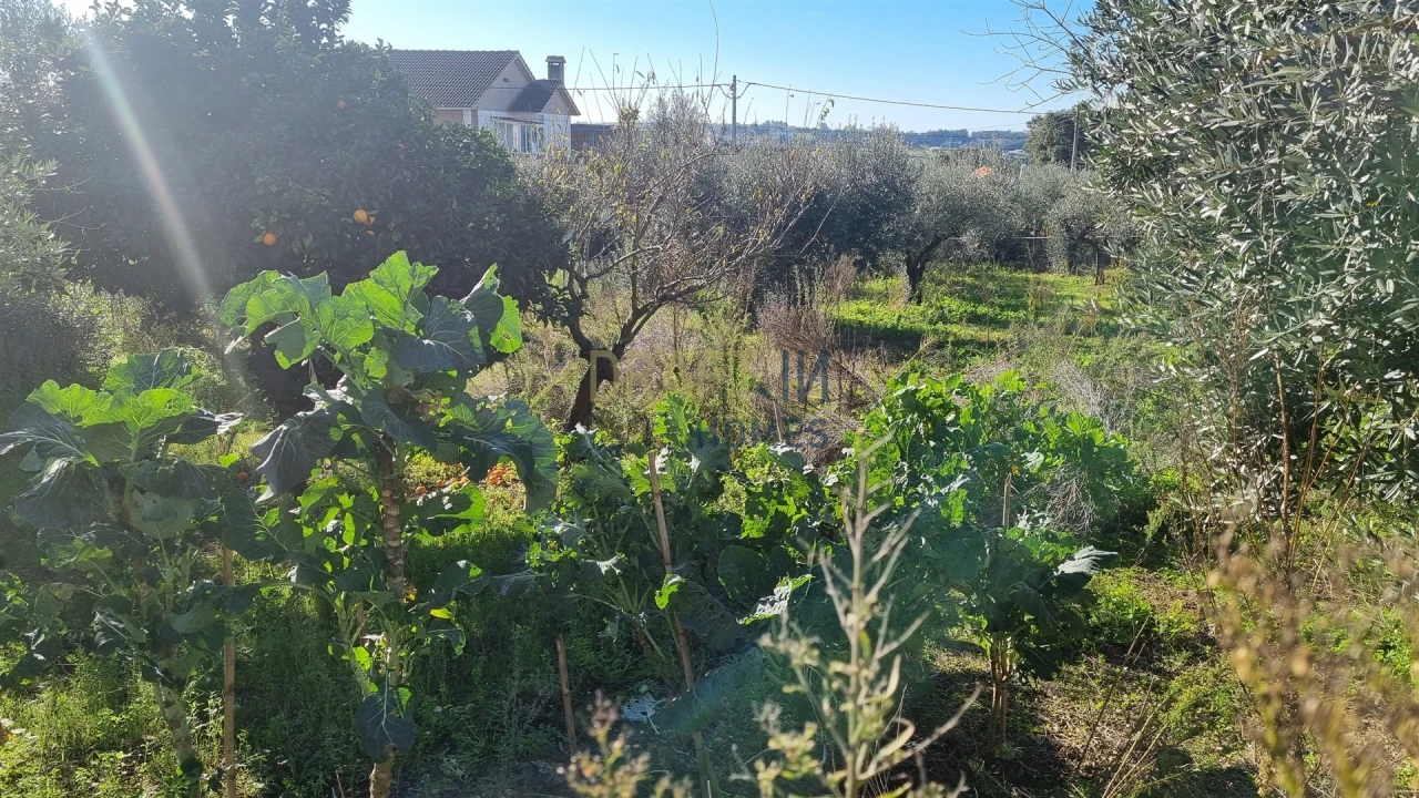 Terreno para Venda em Leiria, Pousos, Barreira e Cortes Foto 24