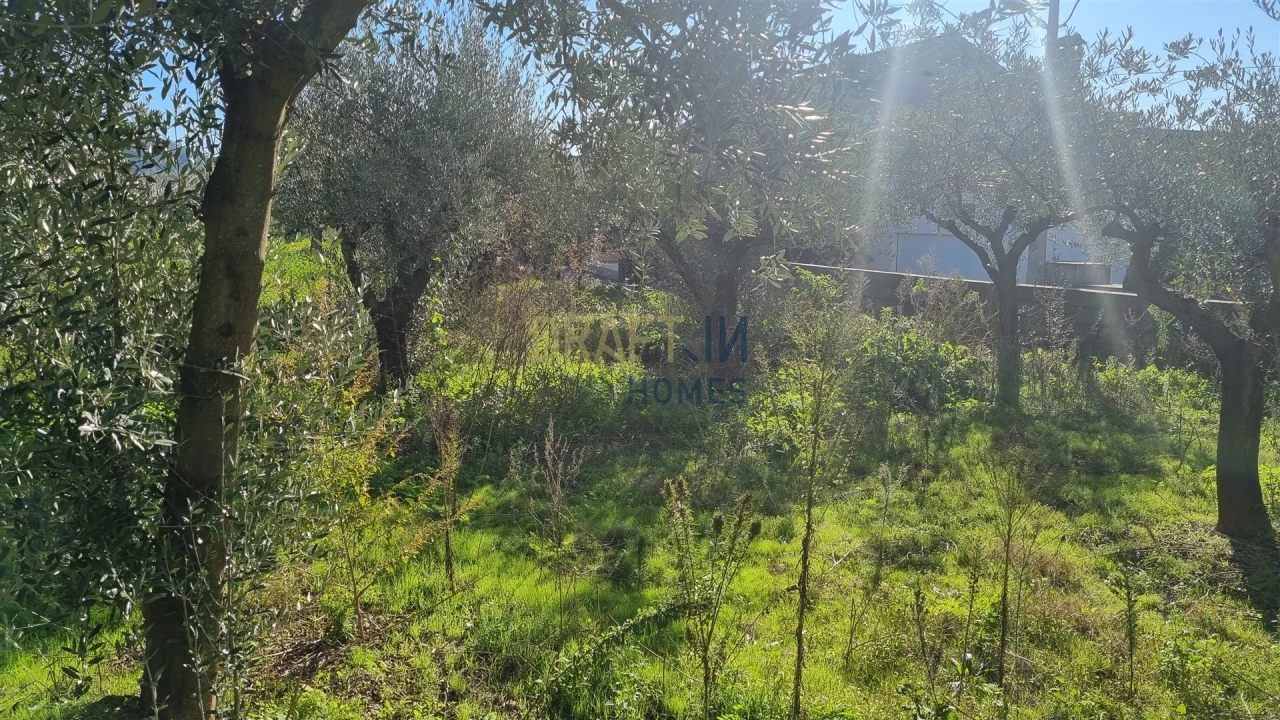 Terreno para Venda em Leiria, Pousos, Barreira e Cortes Foto 36