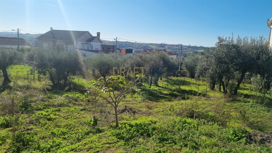 Terreno para Venda em Leiria, Pousos, Barreira e Cortes Foto 16