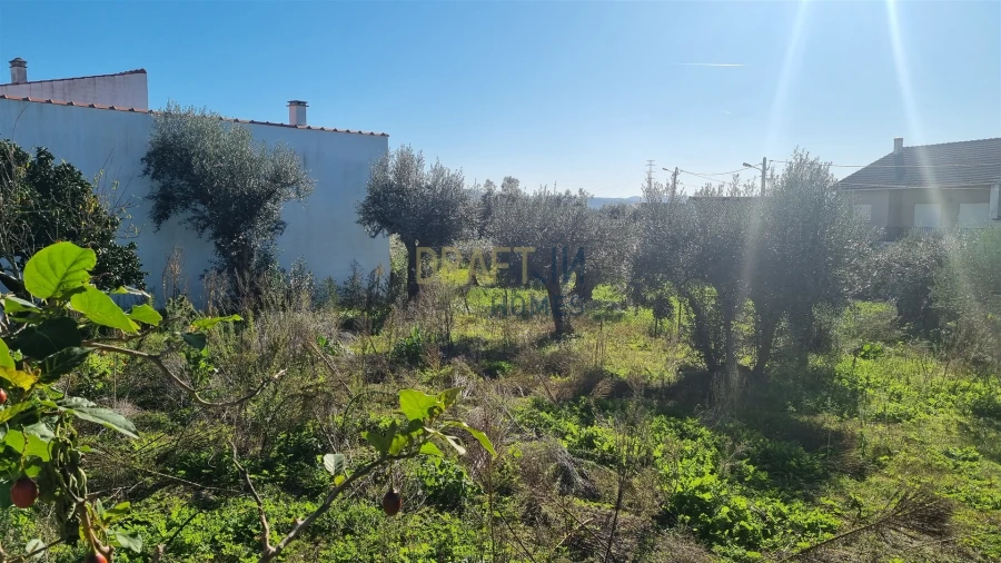 Terreno para Venda em Leiria, Pousos, Barreira e Cortes Foto 32