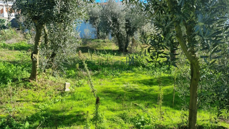 Terreno para Venda em Leiria, Pousos, Barreira e Cortes Foto 11