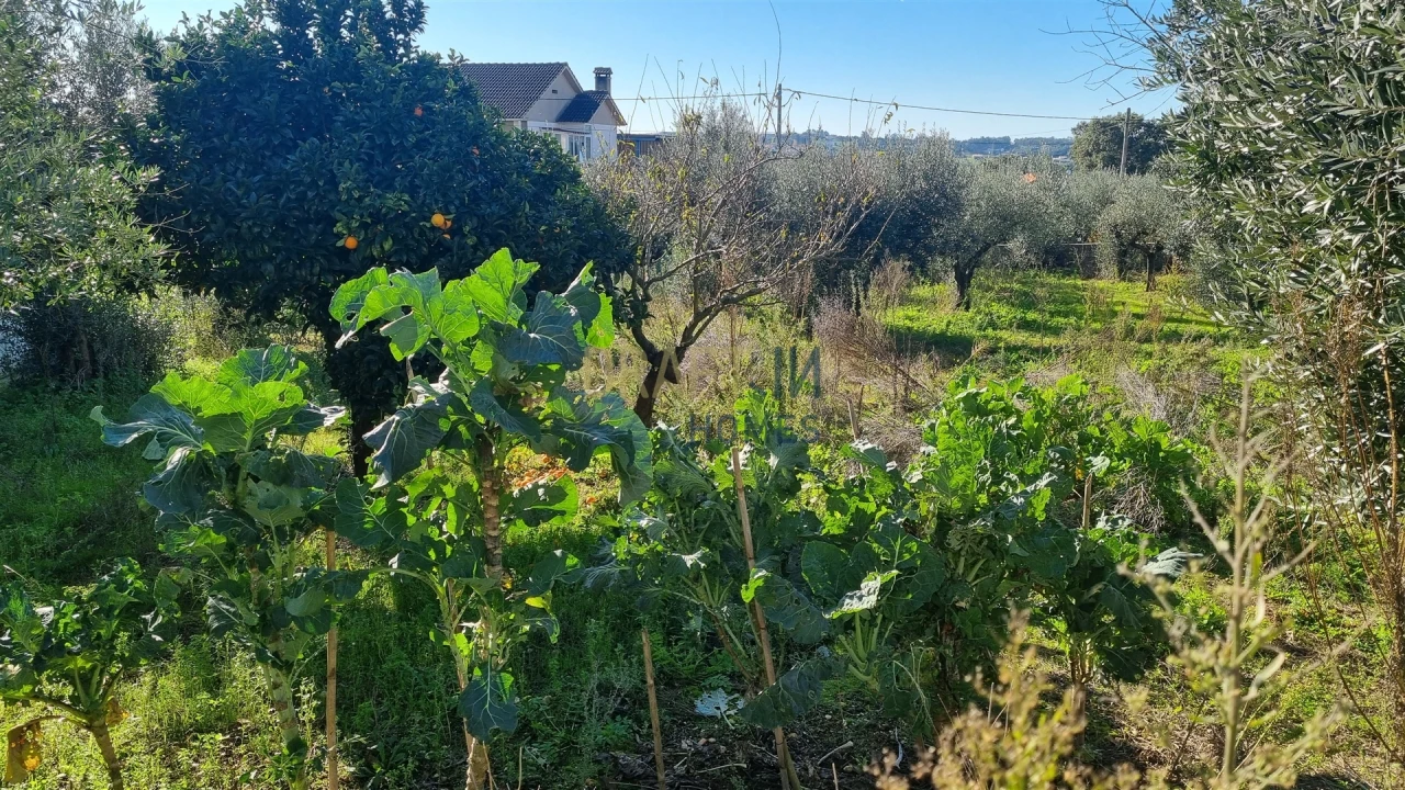 Terreno para Venda em Leiria, Pousos, Barreira e Cortes Foto 25