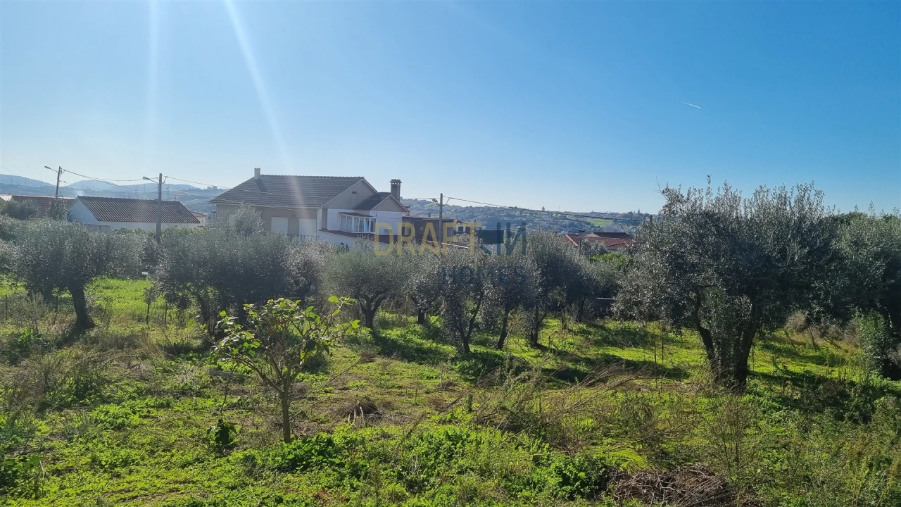 Terreno para Venda em Leiria, Pousos, Barreira e Cortes Foto 21