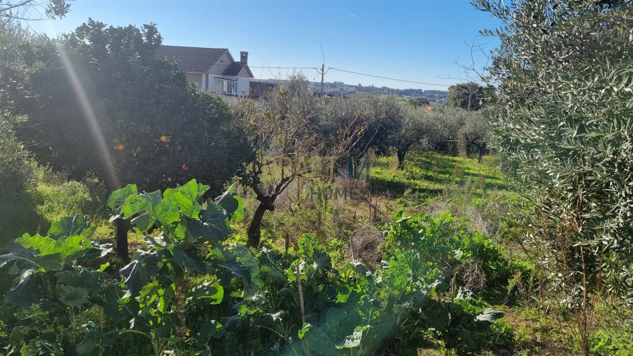 Terreno para Venda em Leiria, Pousos, Barreira e Cortes Foto 22