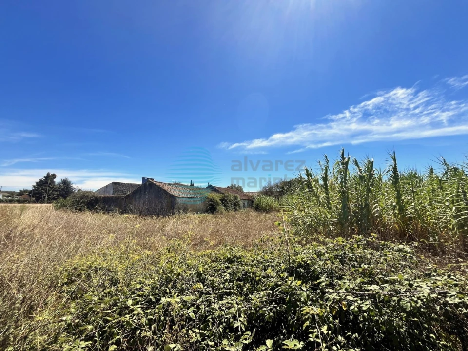 Terreno para Venda em Rio Maior Foto 2