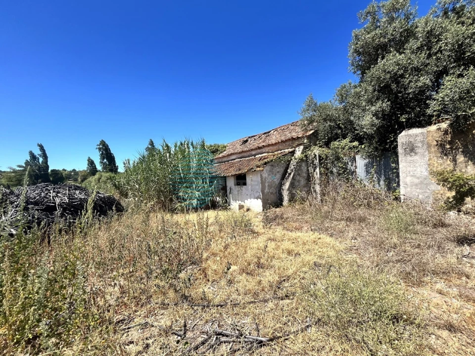 Terreno para Venda em Rio Maior Foto 4