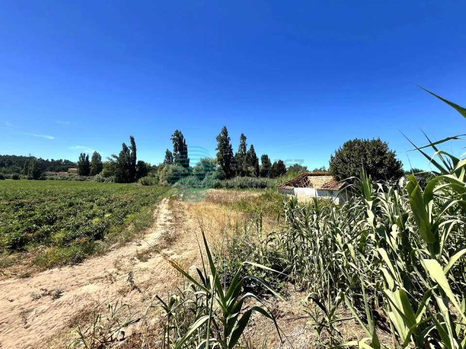 Terreno para Venda em Rio Maior Foto 5