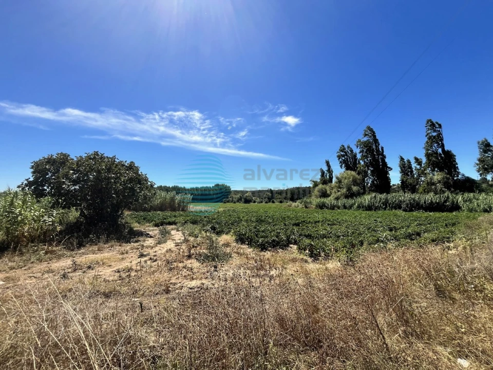 Terreno para Venda em Rio Maior Foto 6