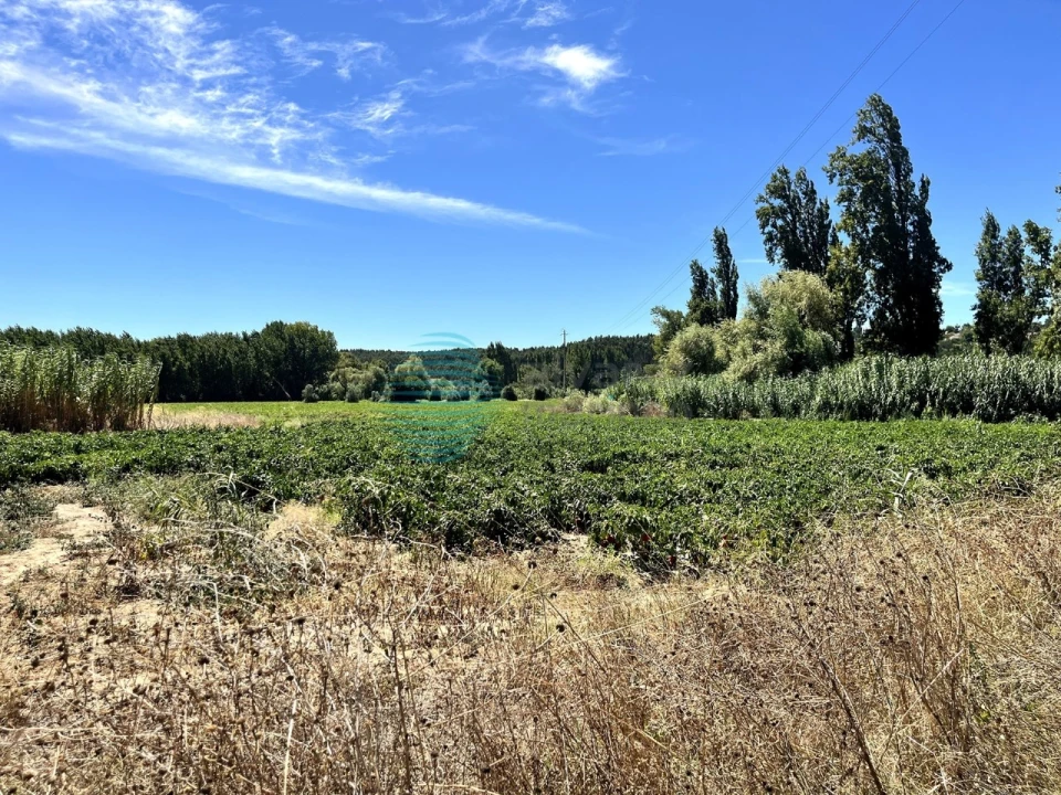 Terreno para Venda em Rio Maior Foto 7