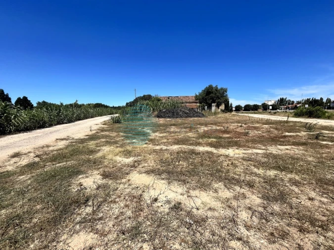 Terreno para Venda em Rio Maior Foto 3