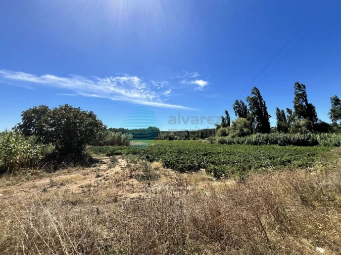 Terreno para Venda em Rio Maior Foto 6
