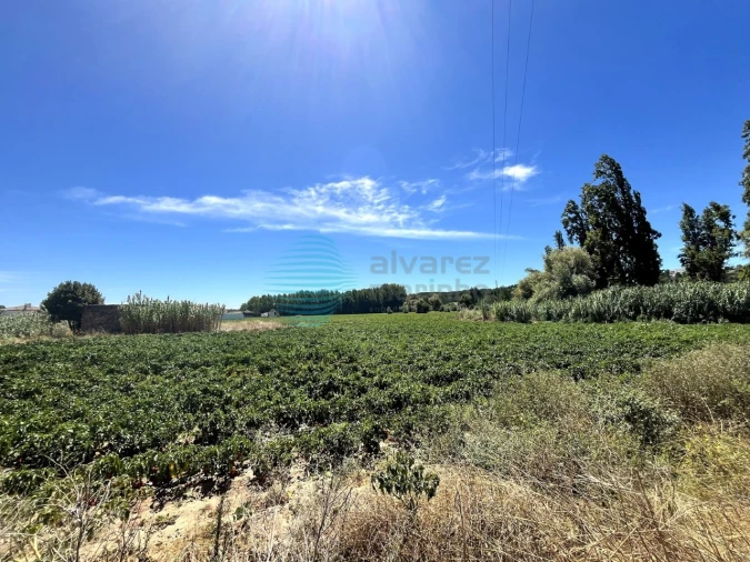 Terreno para Venda em Rio Maior Foto 8