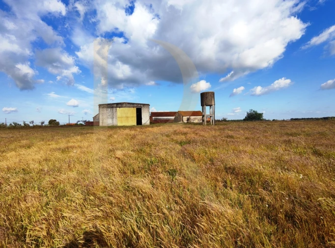 Terreno para Venda em Pegões Foto 5