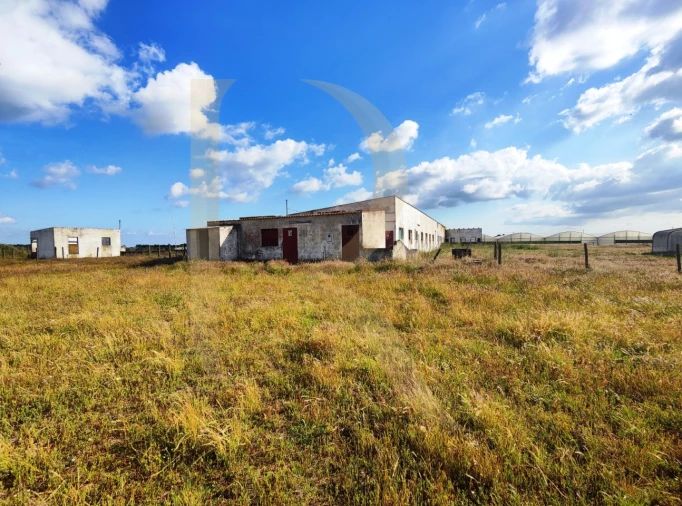 Terreno para Venda em Pegões Foto 10
