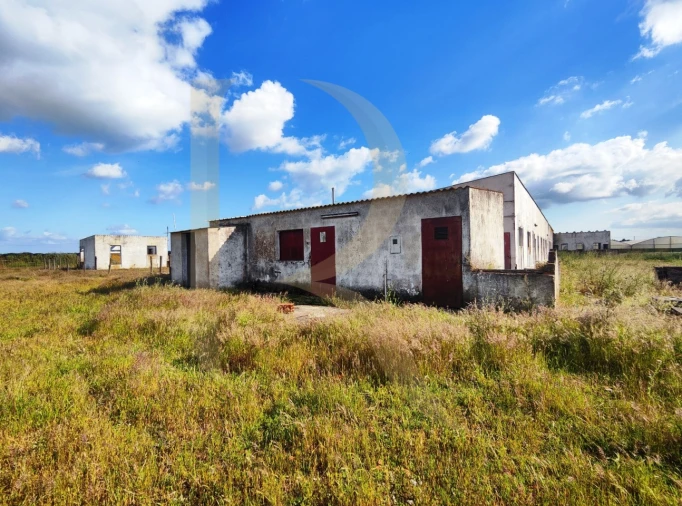 Terreno para Venda em Pegões Foto 11