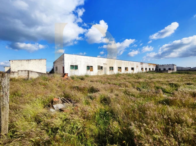 Terreno para Venda em Pegões Foto 12
