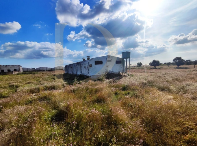 Terreno para Venda em Pegões Foto 13