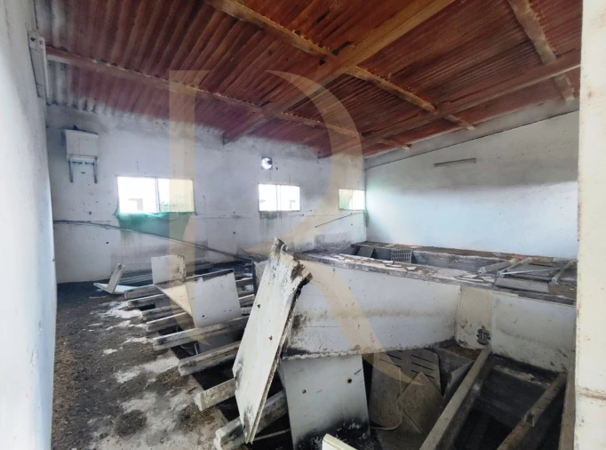 Terreno para Venda em Pegões Foto 18