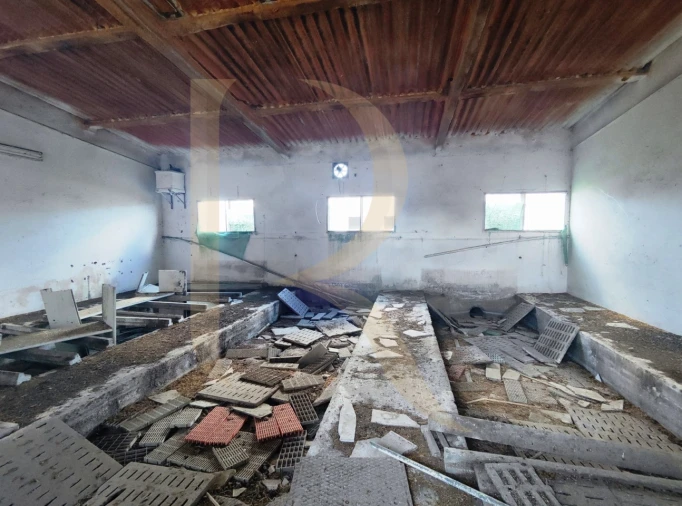 Terreno para Venda em Pegões Foto 19