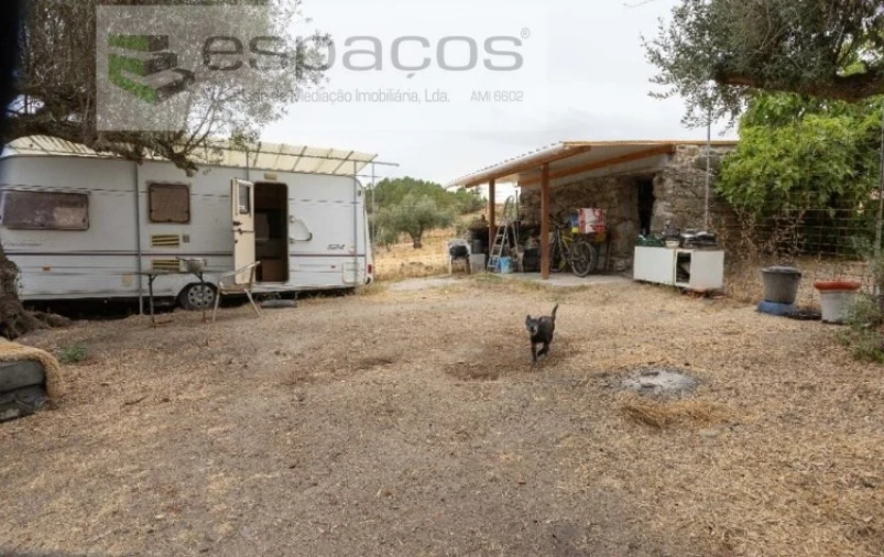 Quinta para Venda em Sarzedas Foto 2