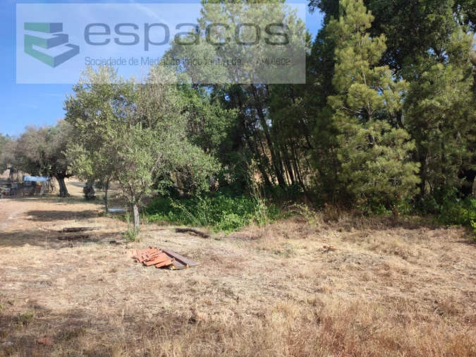 Quinta para Venda em Sarzedas Foto 20