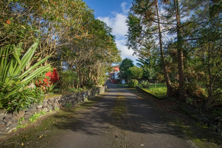 Moradia T4 para Venda em Pico da Pedra Foto 37